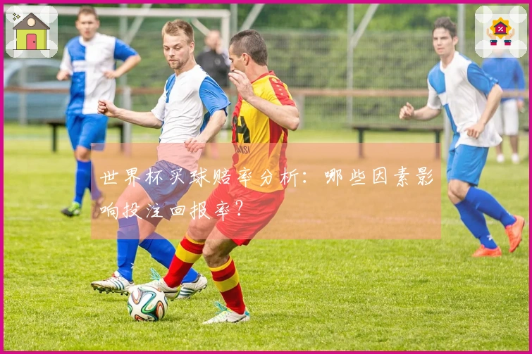 世界杯买球赔率分析：哪些因素影响投注回报率？