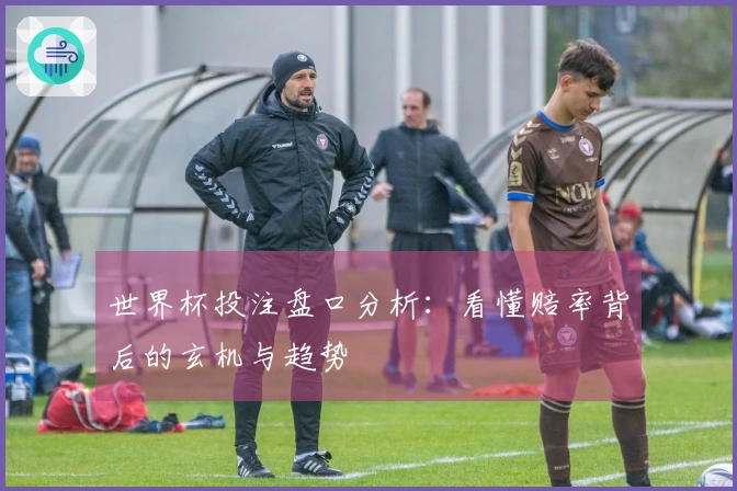 世界杯投注盘口分析：看懂赔率背后的玄机与趋势