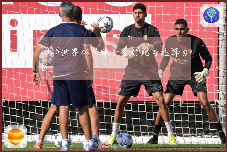 2026世界杯买球平台对比与选择分析