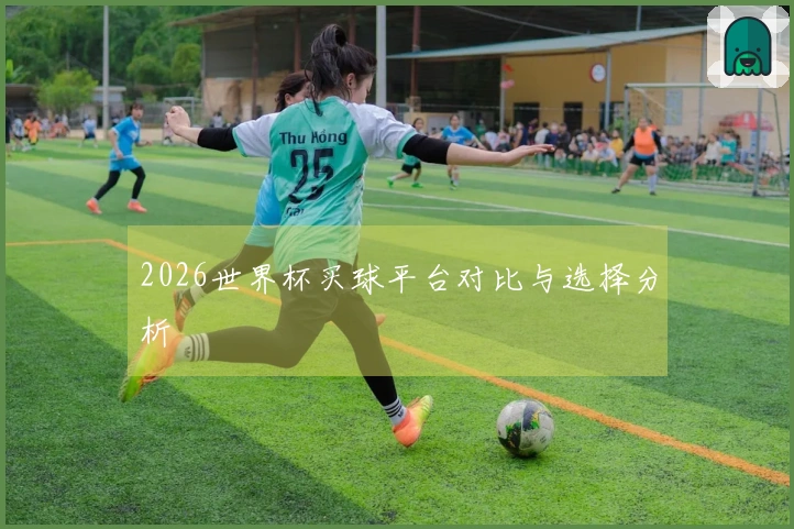2026世界杯买球平台对比与选择分析