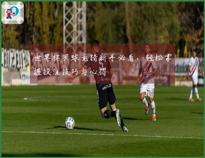 世界杯买球竞猜新手必看，轻松掌握投注技巧与心得