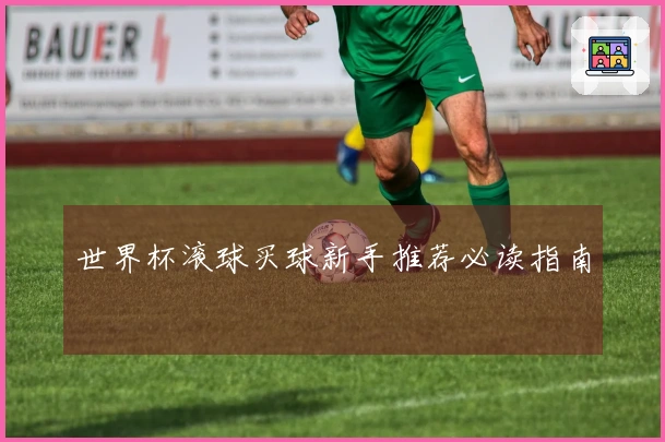 世界杯滚球买球新手推荐必读指南